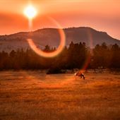 Summer Star Ranch