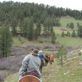 Star's Pryor Mountain Ranch