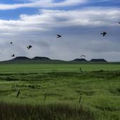 Four Buttes (2026)