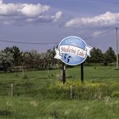 Medicine Lake (206)