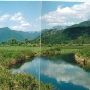 Bull River