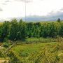 CB Guest Ranch