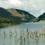 Quake Lake