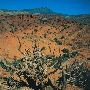 Pryor Badlands