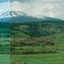 Mule Ranch