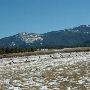 Mule Ranch