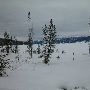 Hebgen Lake [Snow]