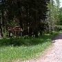 Monture Creek Roads