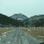 Pine Butte Swamp Preserve