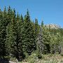Glacier National Park : Two Medicine (Running Eagle Falls)