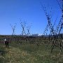 Blackfeet Indian Reservation