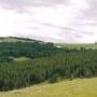 Gravelly Mountains