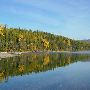 Fall Colors