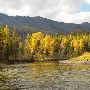Fall Colors