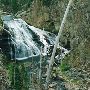 Yellowstone National Park: Gibbon Falls