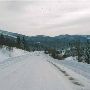 Mule Ranch