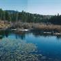 Placid Lake