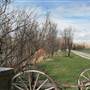 KT Ranch