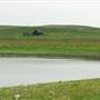 Bean Lake