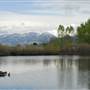 Bozeman Pond Park