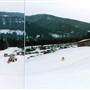 Bridger Bowl