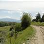 Gallatin River Road