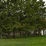 Iddle Ranch