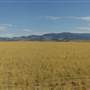 Milligan Canyon Road