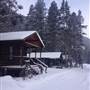 Covered Wagon Ranch