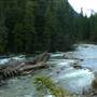Glacier National Park: McDonald Creek