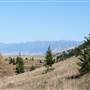 Tom Miner Basin Road
