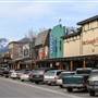 Whitefish