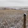 Three Forks Ranch