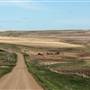 Barney Olson Road