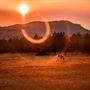 Summer Star Ranch