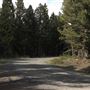 Fleecer Mountain Road