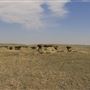 Blackfeet Indian Reservation
