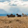 Blackfeet Indian Reservation