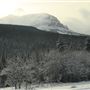Cut Bank Creek Valley and Overlooks
