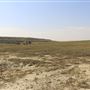 Blackfeet Nation Hoodoos