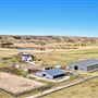 Cloud Nine Equine Ranch