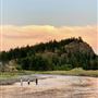 Tobacco River Ranch