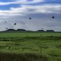 Four Buttes (2026)