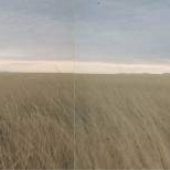 Augusta CRP field