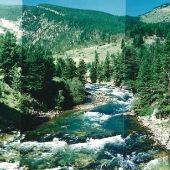 Boulder River