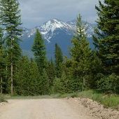 Glacier Creek Road