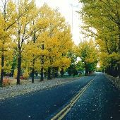 Anaconda  [Fall]