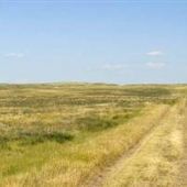 Sheilds River Refuge Road