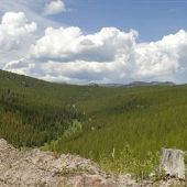 Moose Creek Road Overlook