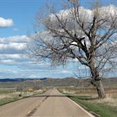 Highway 313